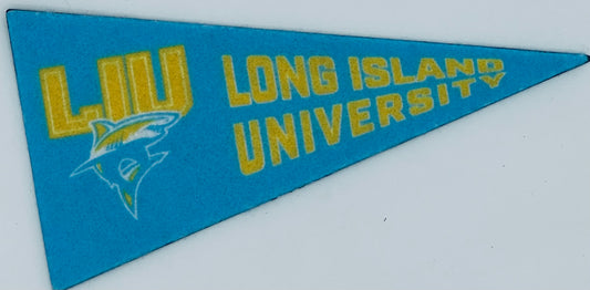 Magnet Pennant